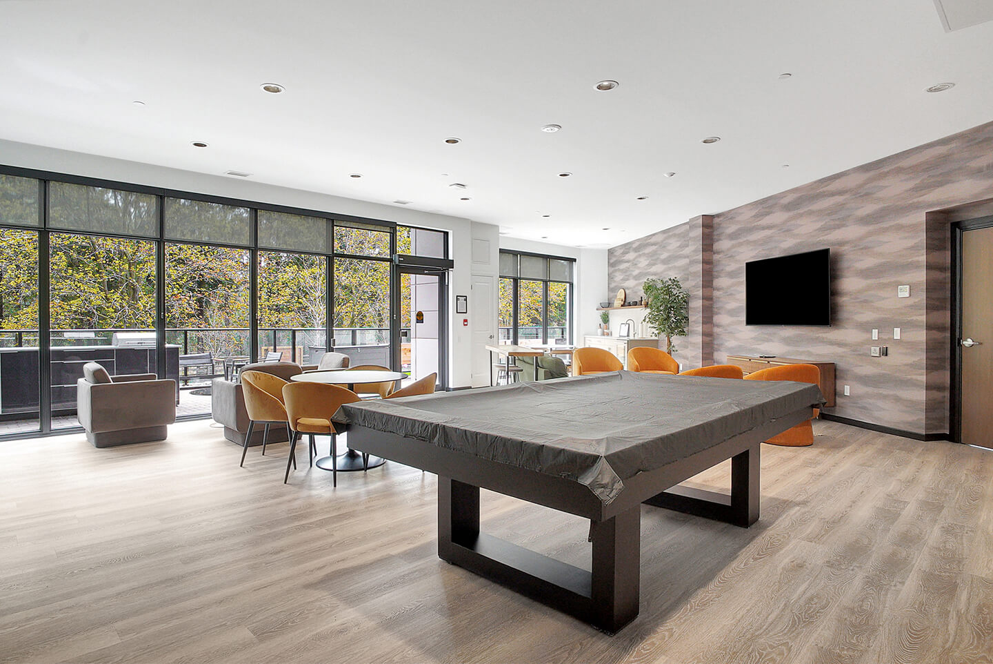 Photograph of living area with a snooker table and television